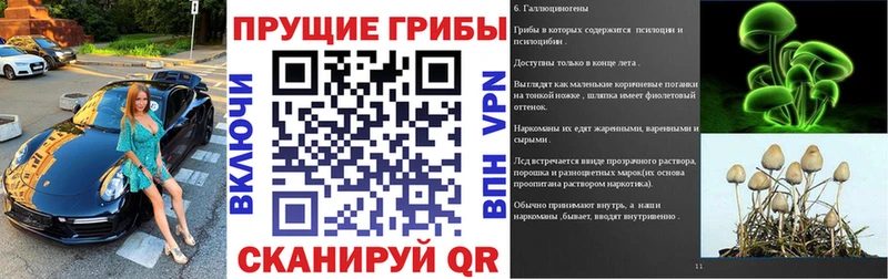 Галлюциногенные грибы Cubensis  KRAKEN tor  Кяхта  где продают наркотики 